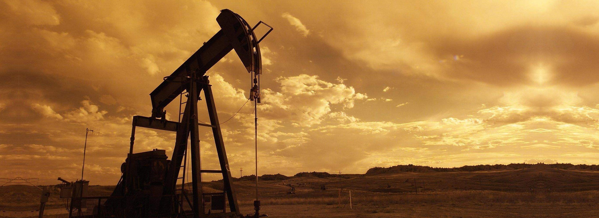 更多的角度交流對于核桃產業的見解和思考